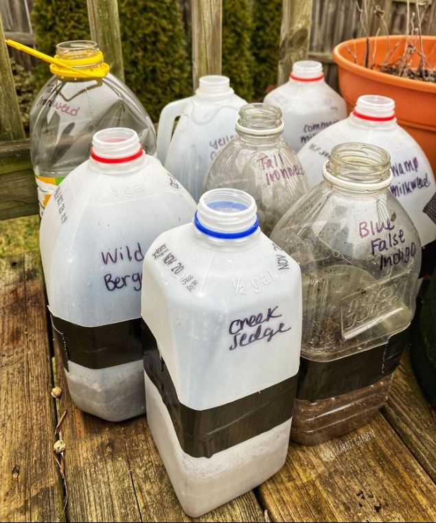 Recycled milk jugs lined up outside on a deck 